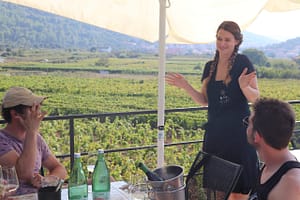 Vela_Luka_Breeze_Wine_Tour_4-min